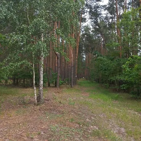 Agroturystyka Zacisze Nad Pilica * Stromiec